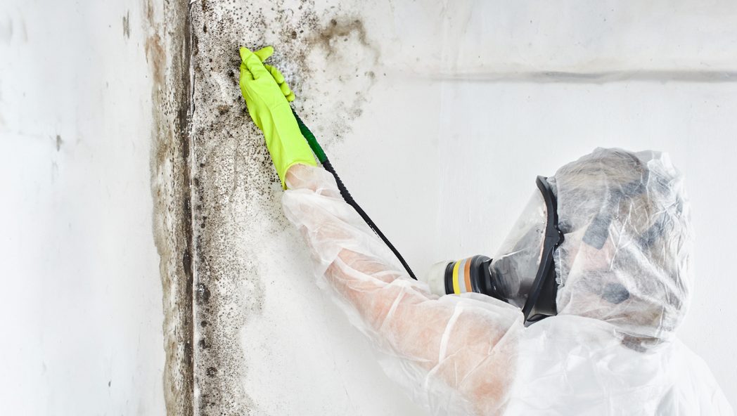 Mold Remediation in Pittsburgh
